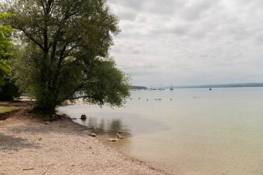 Yaprak döken ağaçlarla gölün kıyısı, sudaki yansımalar ve yaz akşamları küçük bulutlu mavi gökyüzü. Panorama.