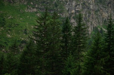 Klausenpass 'ın önündeki İsviçre Vadisi