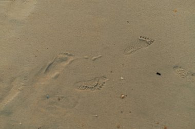 Kumda ayak izleri
