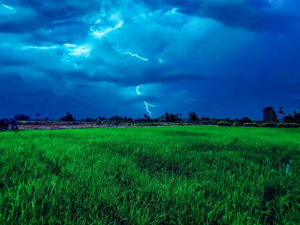 Blesk Nad Rýžovým Polem Kamphang Phet Thajsko Bouřka Obloze — Stock fotografie