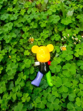 Sarı plastik bebekli yonca ve yeşil arka planda arı.