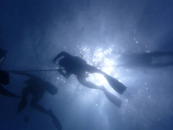 Potápěči Šnorchlování Moři — Stock fotografie