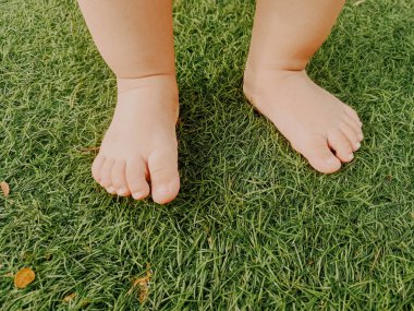 Asyalı bebek ayağı ilk dokunuş hazırlığında çimlere bastı..