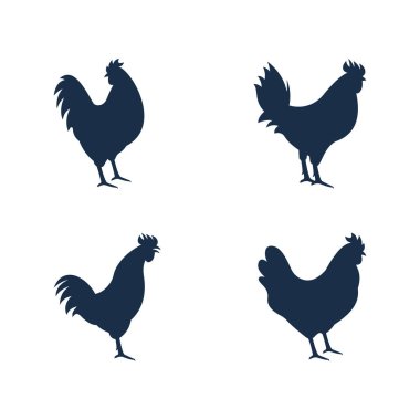 Rooster simgesi şablon tasarım vektör çizimi