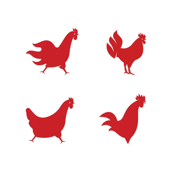 Rooster simgesi şablon tasarım vektör çizimi
