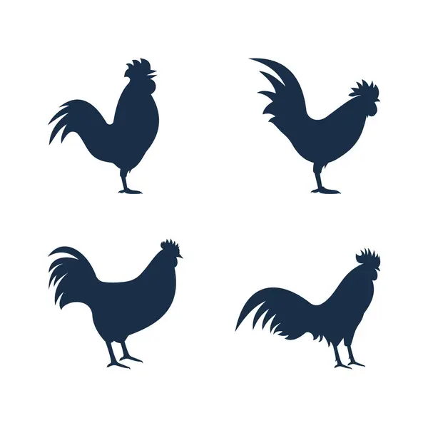 Rooster simgesi şablon tasarım vektör çizimi