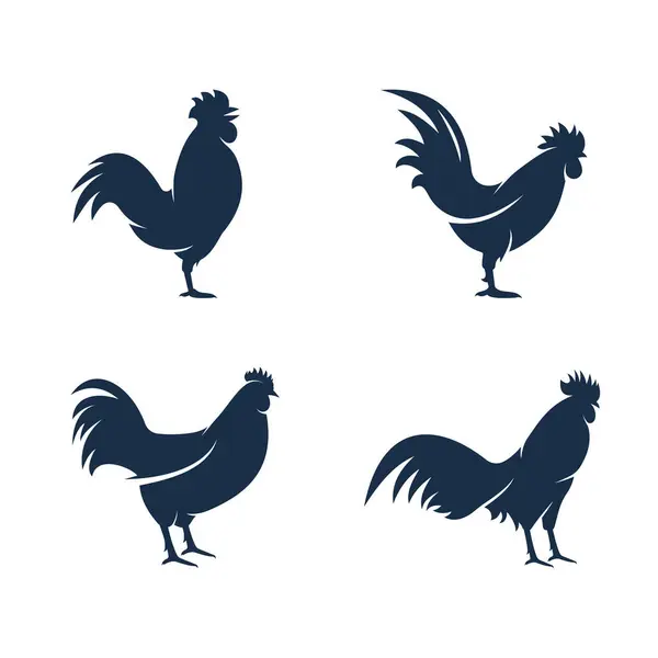 Rooster simgesi şablon tasarım vektör çizimi
