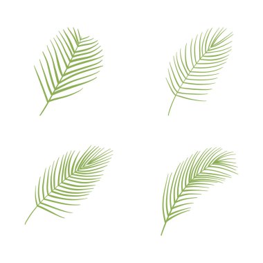 Palmiye ağacı logo şablonu vektör çizimi