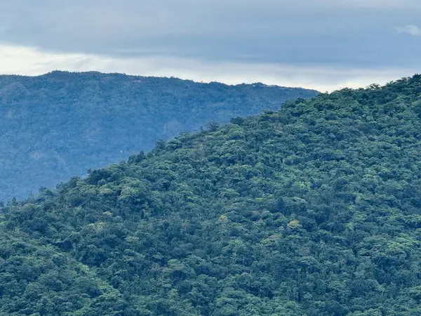 Canlı yeşil tepeler bulutlu bir gökyüzünün arka planına çarpıcı bir şekilde yükseliyor, yoğun bitki örtüsünü ve tropik yağmur ormanlarının zengin biyolojik çeşitliliğini ortaya koyuyor..