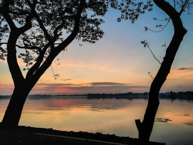 Siluetli ağaçlar, yumuşak bir günbatımını yansıtan sakin bir göl oluşturarak sakin ve resimsel bir hava yaratıyor. Durgun su, gökyüzünün ılık tonlarını yansıtıyor. Huzurlu atmosferi güçlendiriyor..