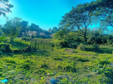 Yeşil bir arazinin ortasında, paslı, ıssız bir metal kapı geçmişin bir kalıntısı olarak duruyor. Güneş ışığı ağaçların arasından süzülüyor, bitkilerin üzerine gölgeler döküyor. Huzurlu, biraz ürkütücü.