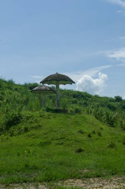 Huzurlu bir manzara sergilenir, yemyeşil bir yamaçta yuva yapmış mantar şekilli yapılar sergilenir. Parlak yeşil, berrak, masmavi gökyüzü ile güzel bir tezat oluşturuyor. Barış ve doğal uyumu çağrıştırıyor. Şey...