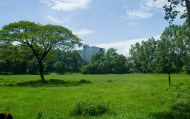 Parlak mavi gökyüzünün altında güzel, geniş bir yeşil çimen alanı. Ağaçlar sahanın kenarlarını çerçeveler, doğal bir güzellik hissi yaratır. Güneşli bir günde uzaktan bir bina görülebilir..