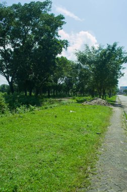 Canlı bir manzara, yemyeşil çimenler, uzun ağaçlar ve parlak güneşli bir gökyüzü ile dolu. Görüntü, sahnenin içinden geçen temiz bir yol ile huzurlu bir doğal ortam gösteriyor..