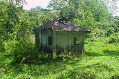 Eski, yıpranmış bir kulübe, ağaçlarla çevrili canlı yeşil bir tarlada duruyor. Sahne bir huzur ve yalnızlık hissi uyandırıyor. Güneş ışığı resmedilmeye değer güzelliğe, dingin ve huzurlu bir güzellik katar.