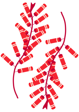 Çin Yeni Yılı geldi. Seçebileceğin dekorasyonlar var..