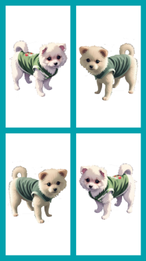 Çeşitli evcil hayvan türlerinden kolajlı bir grup şirin köpek. Siyah arka planda izole edilmiş. evcil hayvan kolajı.