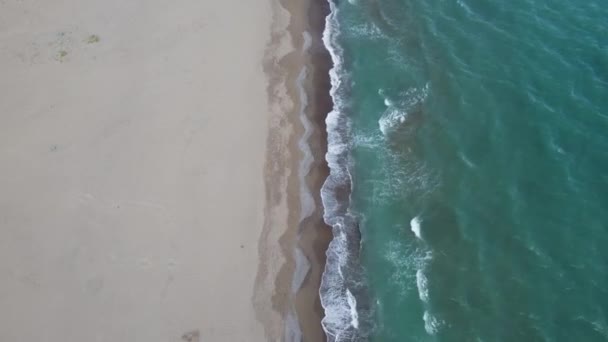 砂浜の海岸線で波が砕けている間 美しいシームレスな終わりのない映像のドローンビュー 深い青い海の水と泡立つ波を満たす黄金のビーチの空中ショット 4K映像 — ストック動画
