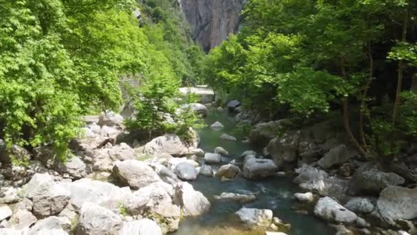 カピカヤ峡谷川沿いのフライト 垂直に切り立った壮大な高い崖の間で狭い谷の目標峡谷 おとぎ話のような自然の風景トルコ 最高の美しい国のランドマーク 高品質4K映像 — ストック動画