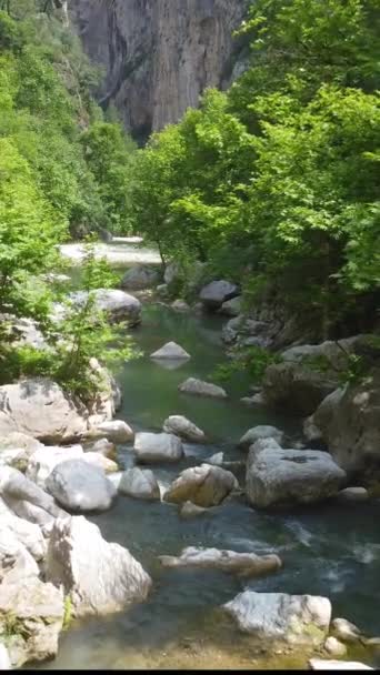 Dron Przelatujący Przez Drzewa Nad Górską Rzeką Kanionie Baśniowy Krajobraz — Wideo stockowe