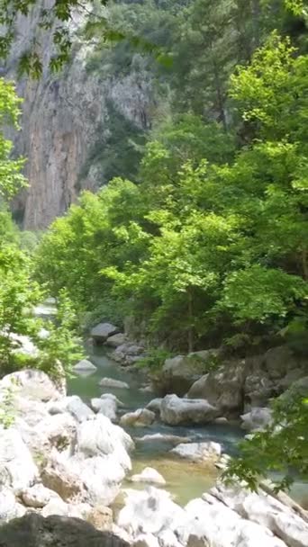 カピカヤ峡谷川沿いのフライト 垂直に切り立った壮大な高い崖の間で狭い谷の目標峡谷 おとぎ話のような自然の風景トルコ 垂直ビデオ背景 高品質4K映像 — ストック動画