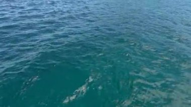 Arkaplanda kristal berrak denizi olan Mersin. Yüksek kalite 4k görüntü