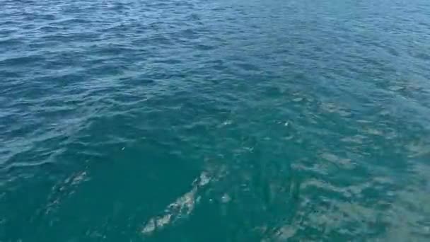 Mersin Fundo Com Seu Mar Cristalino Imagens Alta Qualidade — Vídeo de Stock
