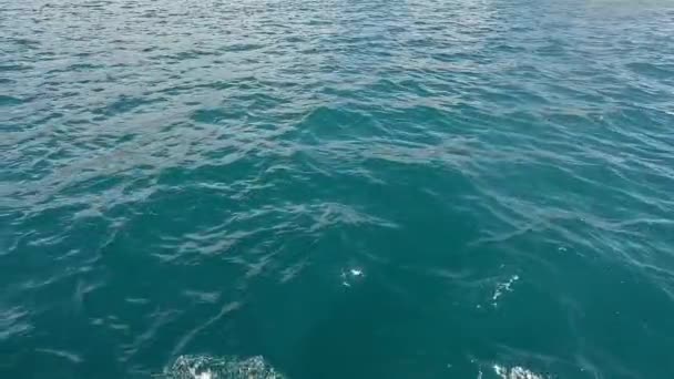Mersin Pozadí Křišťálově Čistým Mořem Vysoce Kvalitní Záběry — Stock video