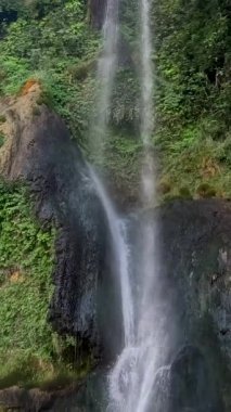 Türkiye 'nin güzel doğası, şelale güneşleri, suyun üzerinde yeşil ağaçlar asılı. Bahar zamanı Kursunlu Şelaleleri 'nin Idyllic resmi. Yüksek kalite 4k görüntü