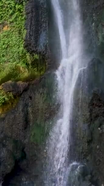 トルコの美しい自然 緑の木の枝は水の上にぶら下がっています 春の滝のイディラックな写真 高品質の4K映像 — ストック動画