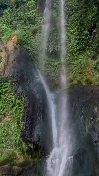 Schöne Natur Der Türkei Wasserfall Sunturas Grüne Bäume Zweige Hängen — Stockvideo