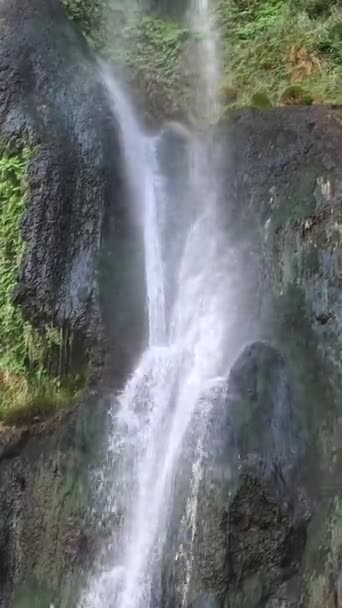 Prachtige Natuur Van Turkije Waterval Sunturas Groene Bomen Tak Hangen — Stockvideo