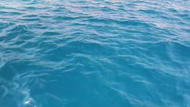 Bakgrunden Med Sitt Kristallklara Havet Mersin Turkiet Högkvalitativ Film — Stockvideo