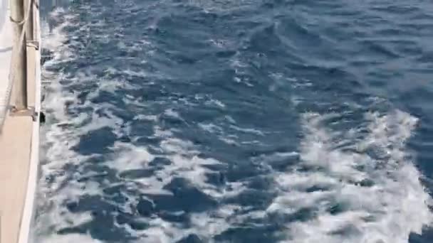 ボートのセーリングサイド 高品質の4K映像 — ストック動画