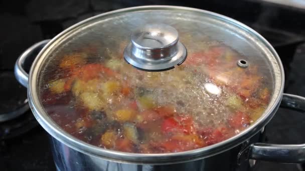 Very Tasty Beef Lentil Soup Being Cooked Stove Cook Cooking — Stock videók