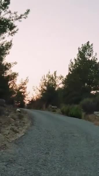 Autoreise Über Die Gebirgsstraßen Und Serpentinen Der Türkei Sommerreise Straßenwende — Stockvideo
