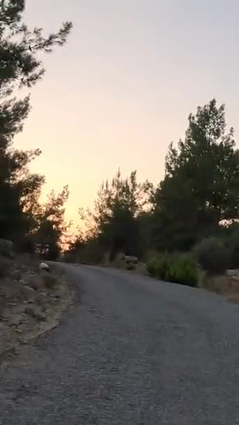 Road Trip Car Mountain Roads Serpentines Turkey Summer Travel Road — Stock Video
