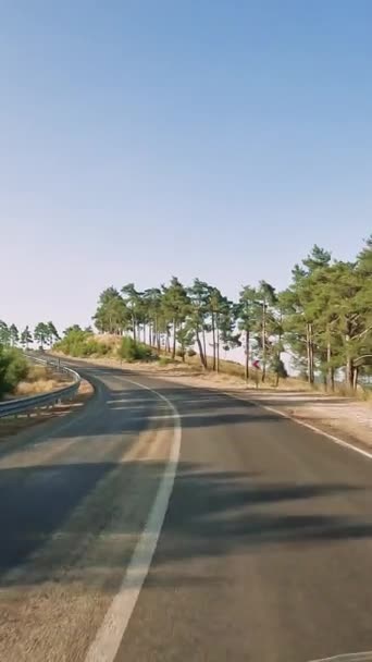Pionowe Wideo Gopro11 Road Podróż Samochodem Wzdłuż Górskich Dróg Serpentyn — Wideo stockowe