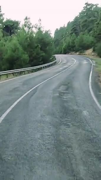 Verticale Video Gopro11 Road Reis Met Auto Langs Bergwegen Slangen — Stockvideo