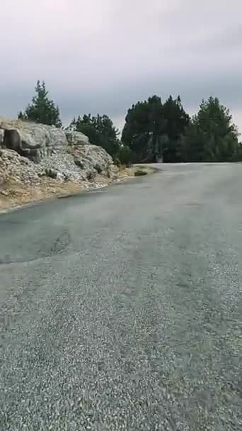Türkiye Nin Dağ Yolları Yılanları Boyunca Arabayla Yolculuk Yaz Seyahati — Stok video