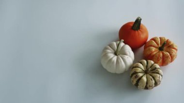 Dekoratif Sonbahar, Cadılar Bayramı, ve Şükran Günü balkabakları ve kabakları beyaz arka planda fotokopi uzayı neşe içinde kare ve yerleşime dönüşür. 4K Stop Motion animasyonu. Yüksek kalite 4k görüntü