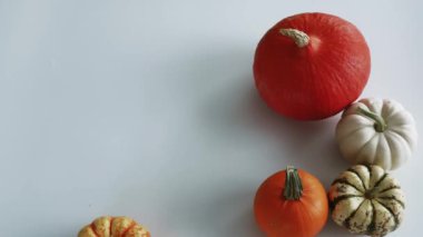 Dekoratif Sonbahar, Cadılar Bayramı, ve Şükran Günü balkabakları ve kabakları beyaz arka planda fotokopi uzayı neşe içinde kare ve yerleşime dönüşür. 4K Stop Motion animasyonu. Yüksek kalite 4k görüntü