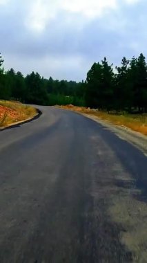 Türkiye 'nin dağ yolları ve yılanları boyunca arabayla yolculuk. Yaz seyahati, yol dönüşleri, günbatımı. Yüksek kaliteli görüntüler