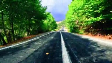 Siyah asfalt ve taze beyaz işaretlerle dağ yolunda sür. Arabayla seyahat, birinci şahıs manzaralı. POV ulaşım aracı ileri. Yüksek kalite 4k görüntü