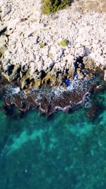 Κηφήνας Που Πετά Πάνω Από Τις Ακτές Της Μεσογειακής Γαλοπούλας — Αρχείο Βίντεο