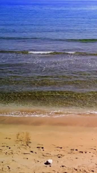 Спокойное Спокойное Побережье Песчаным Пляжем Океанскими Волнами Высококачественные Кадры — стоковое видео