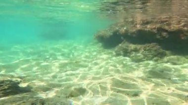 Denizde bir sürü küçük balık var. Suyun altında balık kolonisi, Karadeniz 'de vahşi yaşam sahnesi. Çaça balığı sürüsü güneş ışınlarıyla mavi sularda yüzer. Arka ışıklandırma.