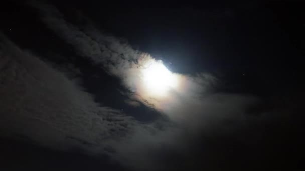 Durante Noche Una Luna Llena Eleva Majestuosamente Sobre Mar Brillo — Vídeo de stock