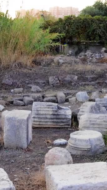 メルシンのポンペリオポリスの遺跡を散策し 歴史を旅する 遺跡はかつて繁栄した古代都市について語る これらの遺跡の各石は トルコの過去の物語を語る — ストック動画