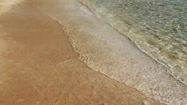Areia Praia Água Mar Criam Fundo Verão Perfeito Textura Praia — Vídeo de Stock